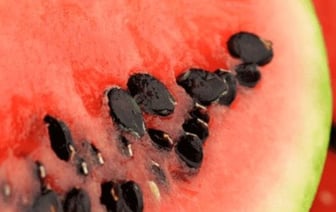 Будет ли воспаление аппендицита, если глотать арбузные косточки? Объясняют белорусские специалисты