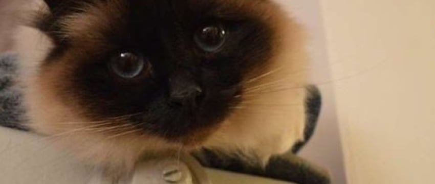 Отопление начали включать в Брестской области. Где именно?