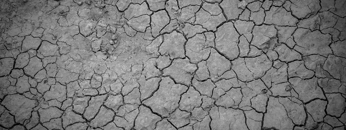 Более 40 человек пострадали на Тайване из-за мощного землетрясения