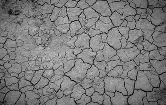 Более 40 человек пострадали на Тайване из-за мощного землетрясения