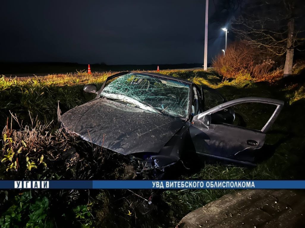 В Полоцком районе погиб водитель легковушки, налетевшей на пень. Фото ГАИ