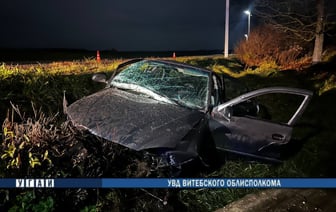 В Полоцком районе погиб водитель легковушки, налетевшей на пень