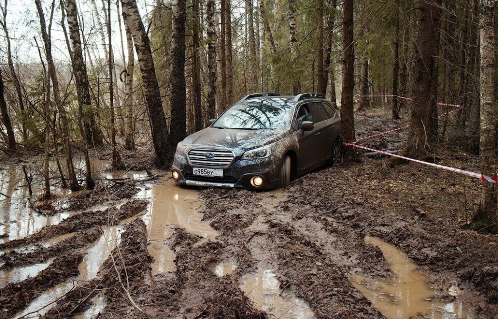 Это фиаско: истории брестчан, которые испортили праздник Нового года