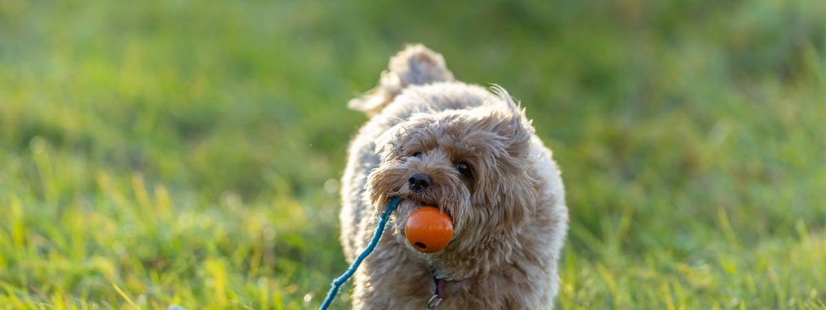 Туристическая подводная лодка затонула в Египте