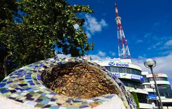 Выходные в Гомеле. Куда сходить 13-14 июля?