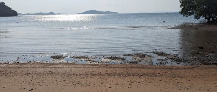 От эконома до люкса: какие новые направления для отдыха предлагают белорусам в 2024 году?