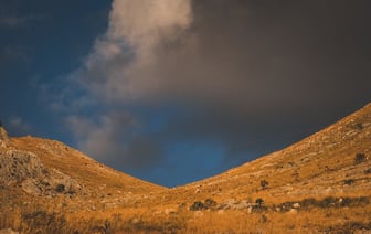 Цены на нефть падают из-за ослабления ожидаемых убытков от урагана