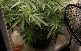 Арест в Барановичском ГОВД