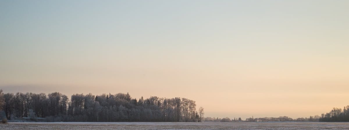 Страны Балтии отключились от энергосистемы БРЭЛЛ