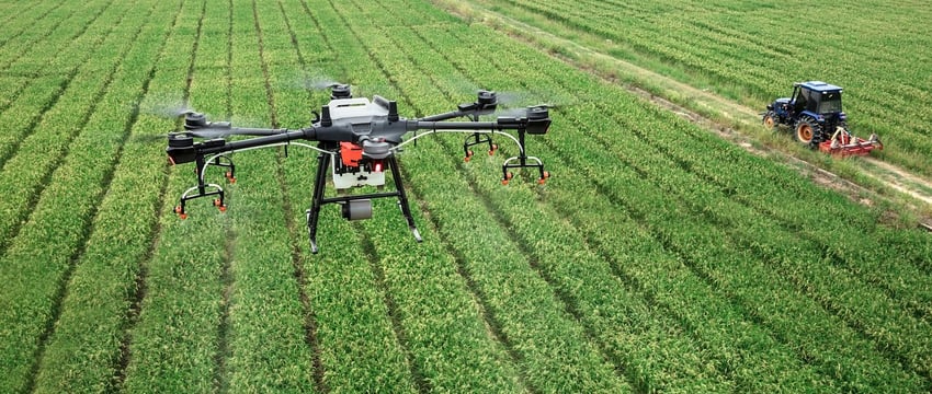 Уничтожать борщевик при помощи дронов пытаются в Витебской области