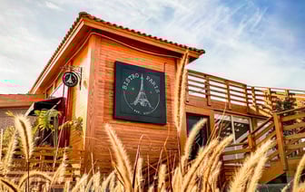 Франция разоблачила очередную кампанию РФ по дезинформации