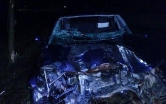 ДТП в Каменецком районе: иномарка врезалась в дерево, пассажир в больнице