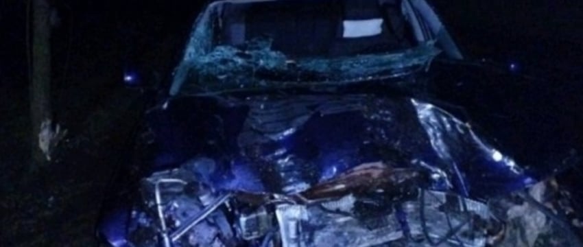 ДТП в Каменецком районе: иномарка врезалась в дерево, пассажир в больнице