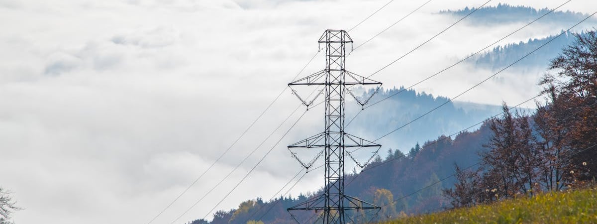 Спецназ задержал брестчанина за участие в протестах летом 2020 года