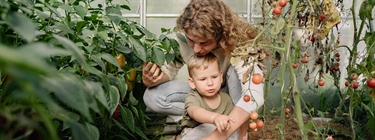 Бывших осужденных отправили собирать камни с полей в Минском районе
