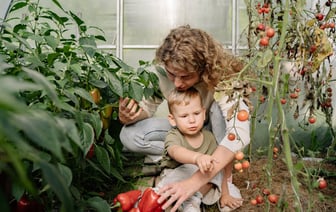 Бывших осужденных отправили собирать камни с полей в Минском районе