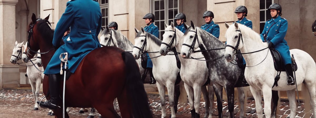 Дания рассчитывает развернуть наземную систему ПВО с 2026 года