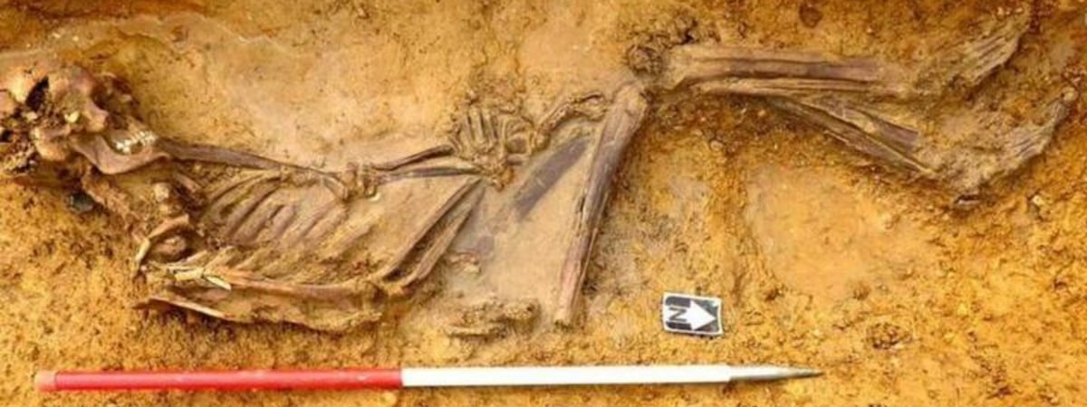 В Британии обнаружили скелет человека, жившего 2 тысячи лет назад. Он пришел туда с территории современных России, Украины или Армении