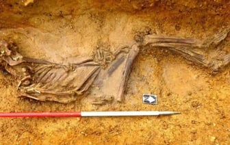 В Британии обнаружили скелет человека, жившего 2 тысячи лет назад. Он пришел туда с территории современных России, Украины или Армении