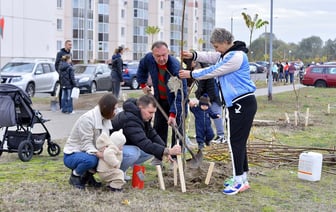 Жители Гомеля высадили 500 сумахов в Шведской Горке