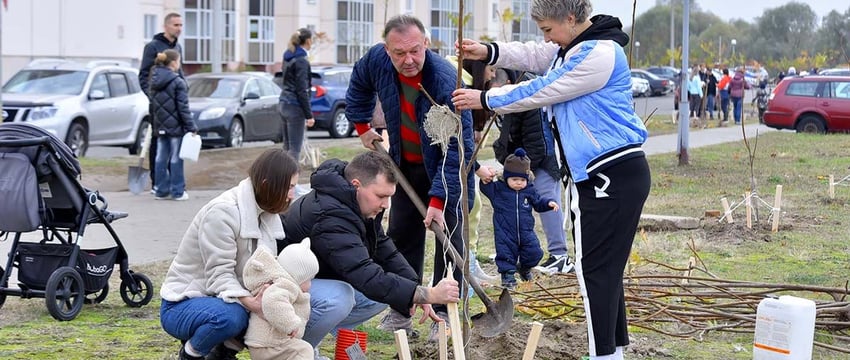 Жители Гомеля высадили 500 сумахов в Шведской Горке