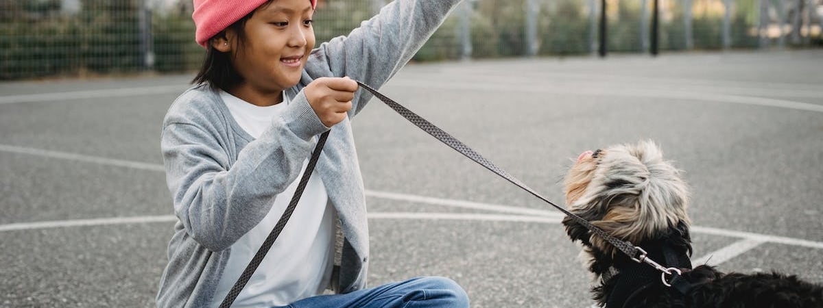 США сообщили об уничтожении ракетной установки хуситов