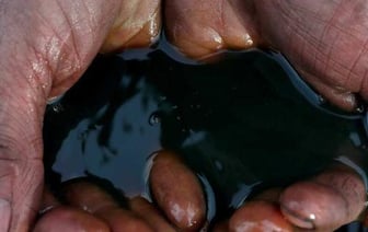 "Роснефть" будет "прощупывать" Гомельскую область