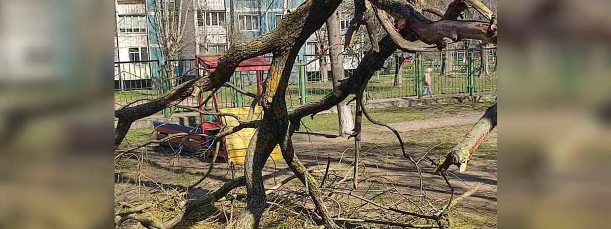 В Бобруйске ребёнок в детском саду получил перелом из-за сильного порыва ветра — Фото