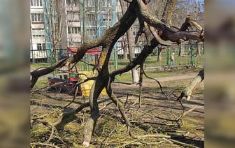 В Бобруйске ребёнок в детском саду получил перелом из-за сильного порыва ветра — Фото