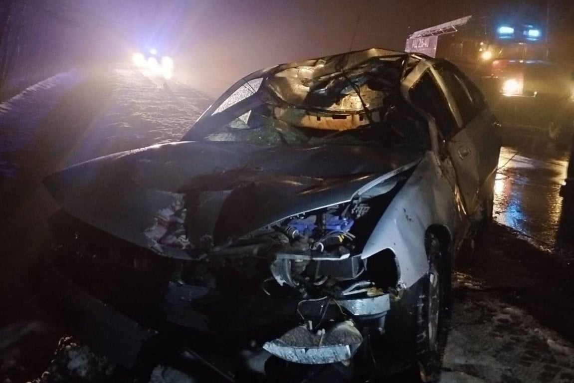 Лось стал причиной ДТП в Поставском районе, молодой водитель в больнице. Фото ГАИ