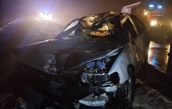 Лось стал причиной ДТП в Поставском районе, молодой водитель в больнице