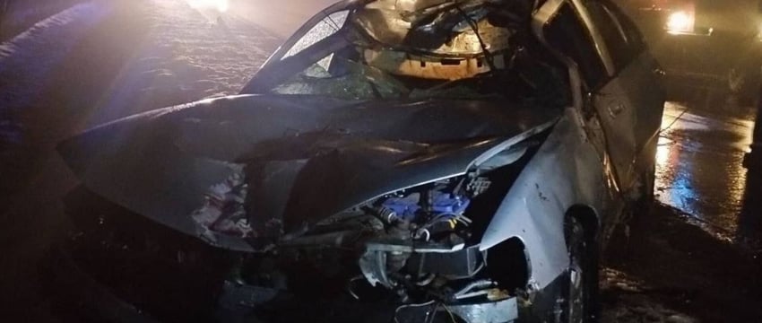 Лось стал причиной ДТП в Поставском районе, молодой водитель в больнице