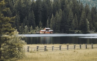 Европейские акции растут быстрее американских с момента возвращения Трампа