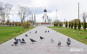 В Гомеле в маршрут №51 «Вокзал – Медгородок» внесли изменения