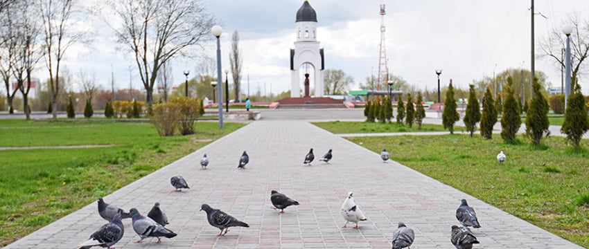 В Гомеле в маршрут №51 «Вокзал – Медгородок» внесли изменения