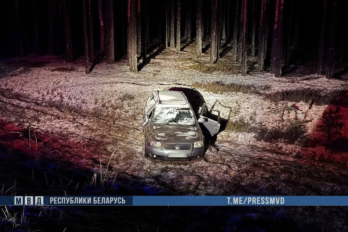 Маленькая девочка погибла в ДТП на автодороге М-8 «Витебск-Орша». Фото ГАИ