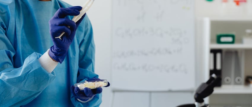 Прадстаўнік “Акадэміі адукацыі”: Беларуская мова – маркер інтэлігентнасці, прыналежнасці да эліты