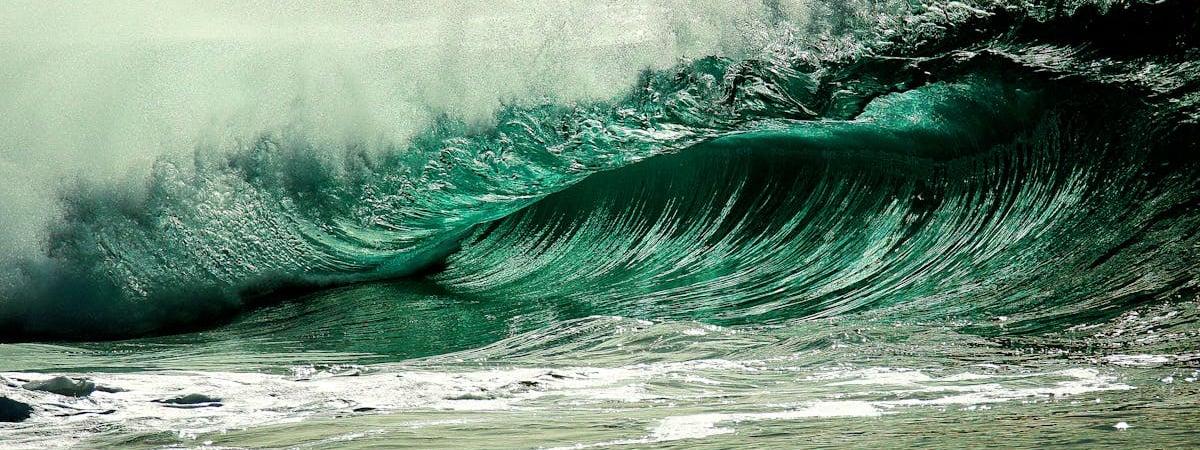 Германия начала расследование крушения самолета DHL в Литве