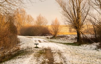 Минздрав разрешил школьникам болеть 5 дней без справки