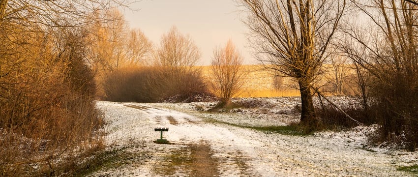 Минздрав разрешил школьникам болеть 5 дней без справки