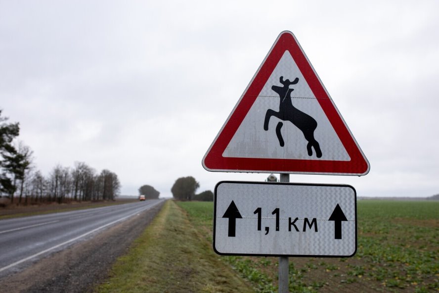 Фото из открытых источников (иллюстративное)