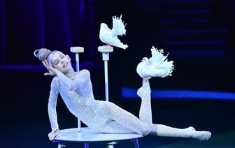 В Гомеле завершился фестиваль циркового искусства. Кто победил?