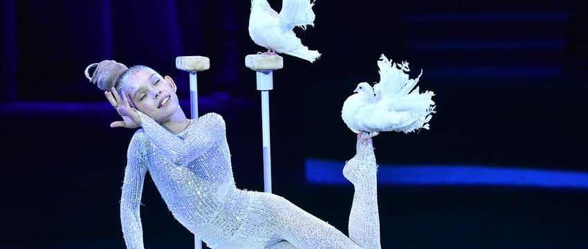 В Гомеле завершился фестиваль циркового искусства. Кто победил?