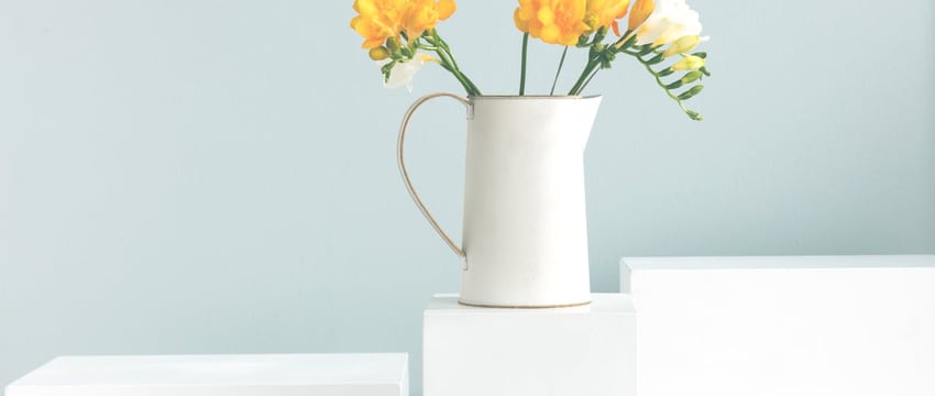 Каким будет апрель? Синоптики рассказали о погоде в Полоцке и Новополоцке