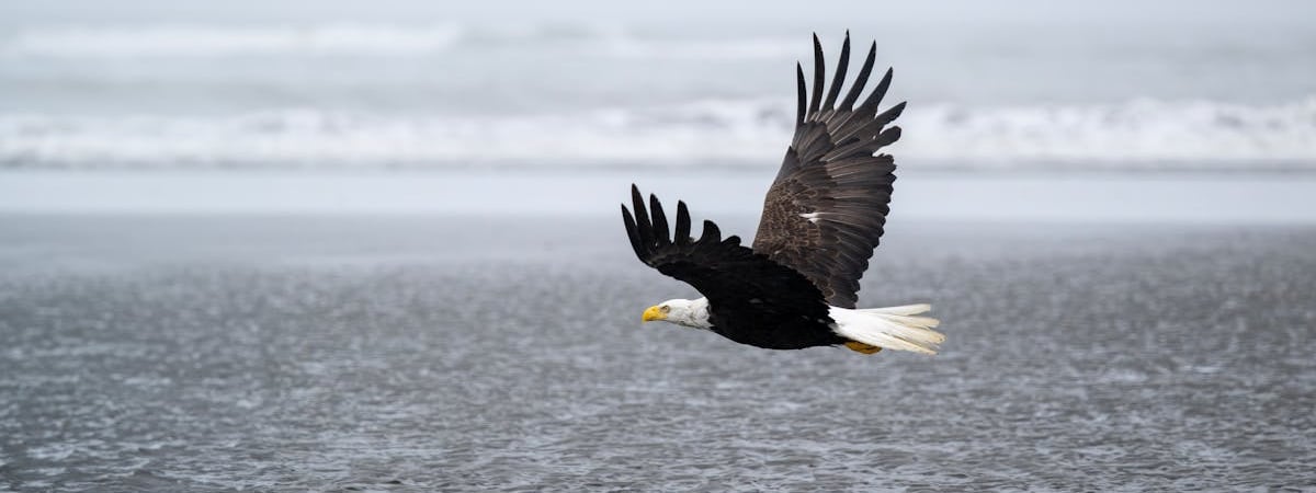 Швейцария закрывает несколько центров для мигрантов