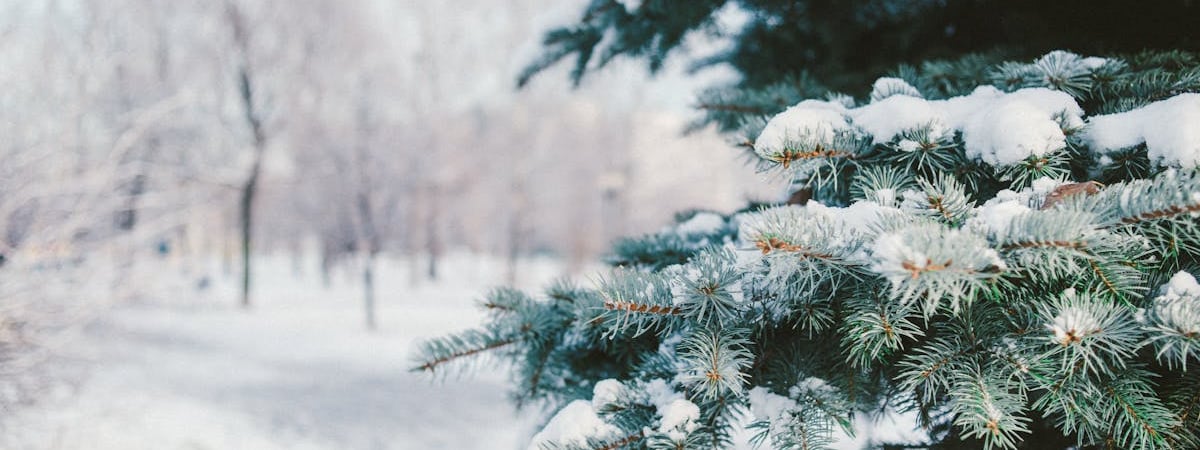 Россия выделила Беларуси около 33,4 млрд рублей на импортозамещение