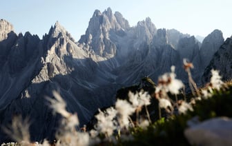 Италия на полгода продлила режим ЧС в сфере миграции