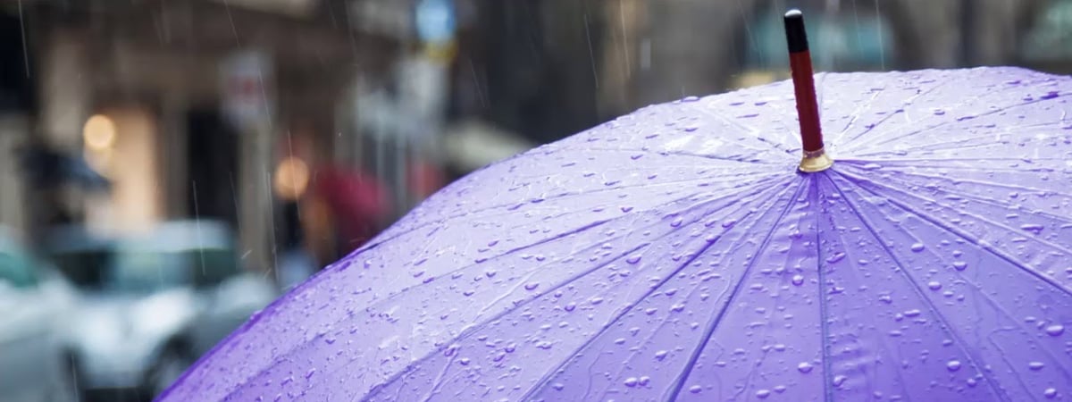 Можно ли с зонтом в маршрутку — отвечаем на вопрос о важнейшем осеннем аксессуаре