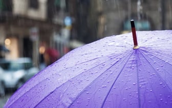 Можно ли с зонтом в маршрутку — отвечаем на вопрос о важнейшем осеннем аксессуаре
