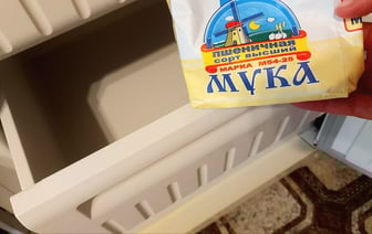 Почему стоит хранить муку в морозильнике?
